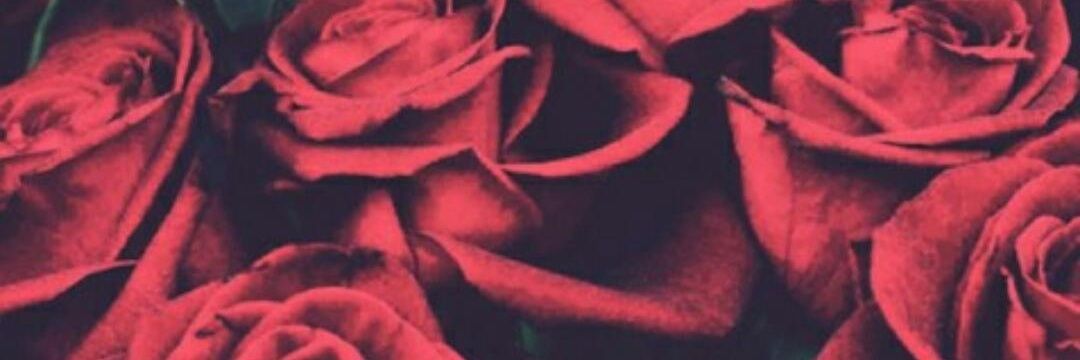 Enkleey's profile banner image