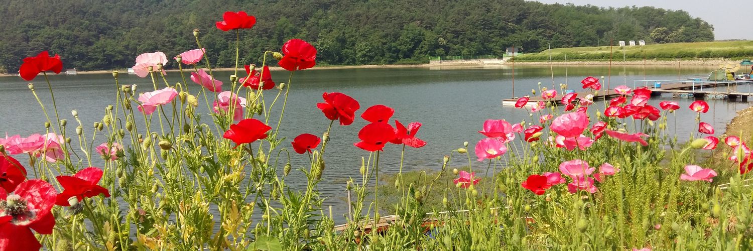 jsk4002's profile banner image
