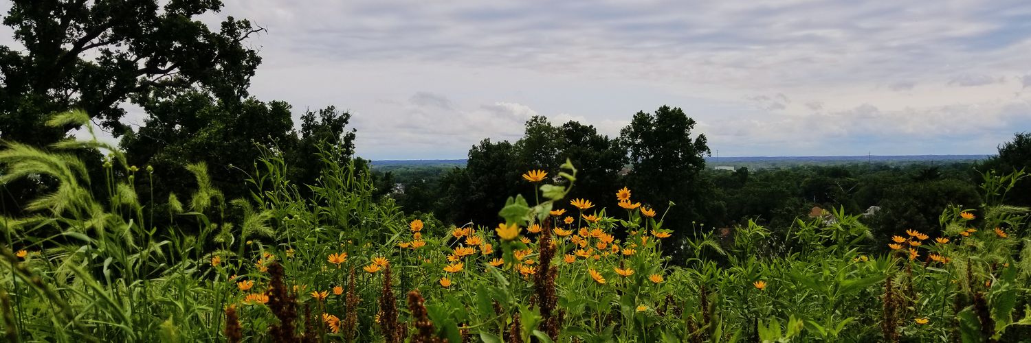 hneyens_'s profile banner image
