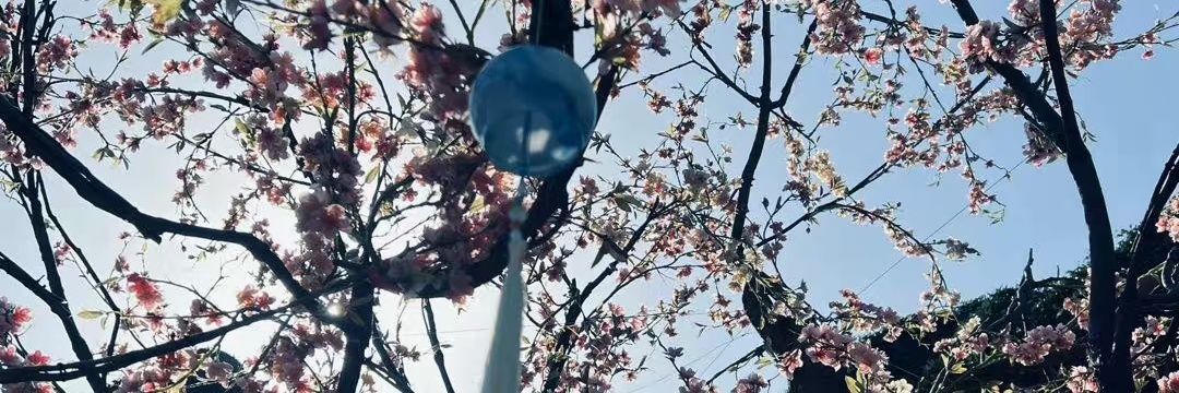 yangchaoye's profile banner image