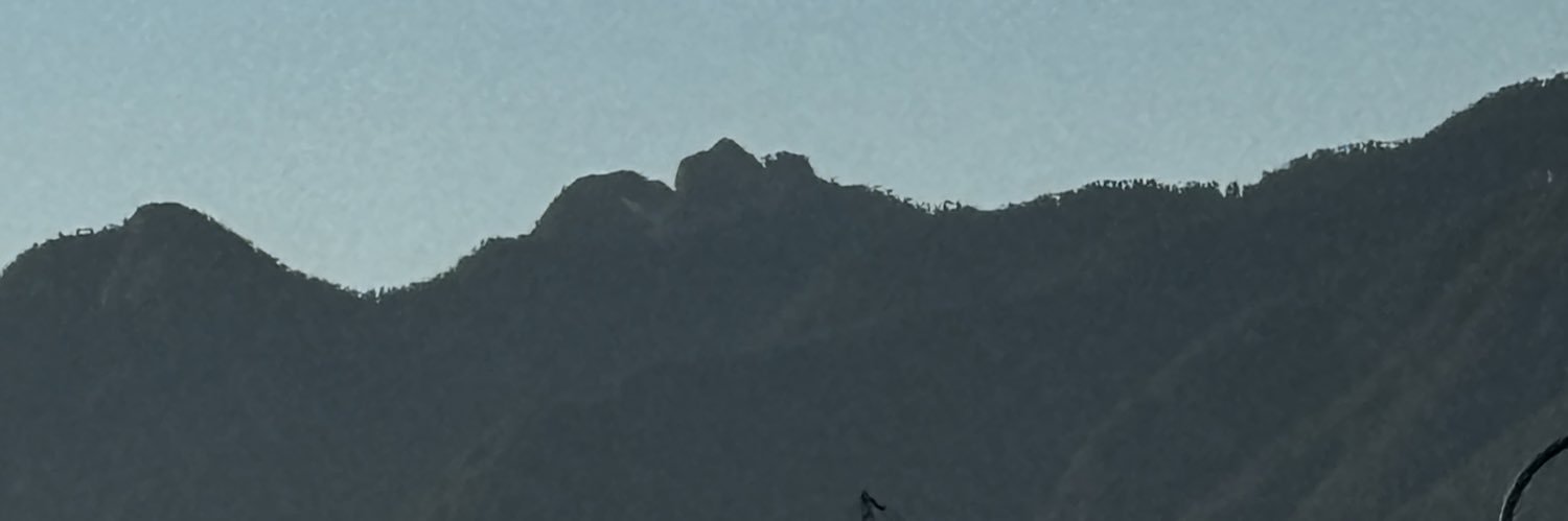 mcdonskii's profile banner image