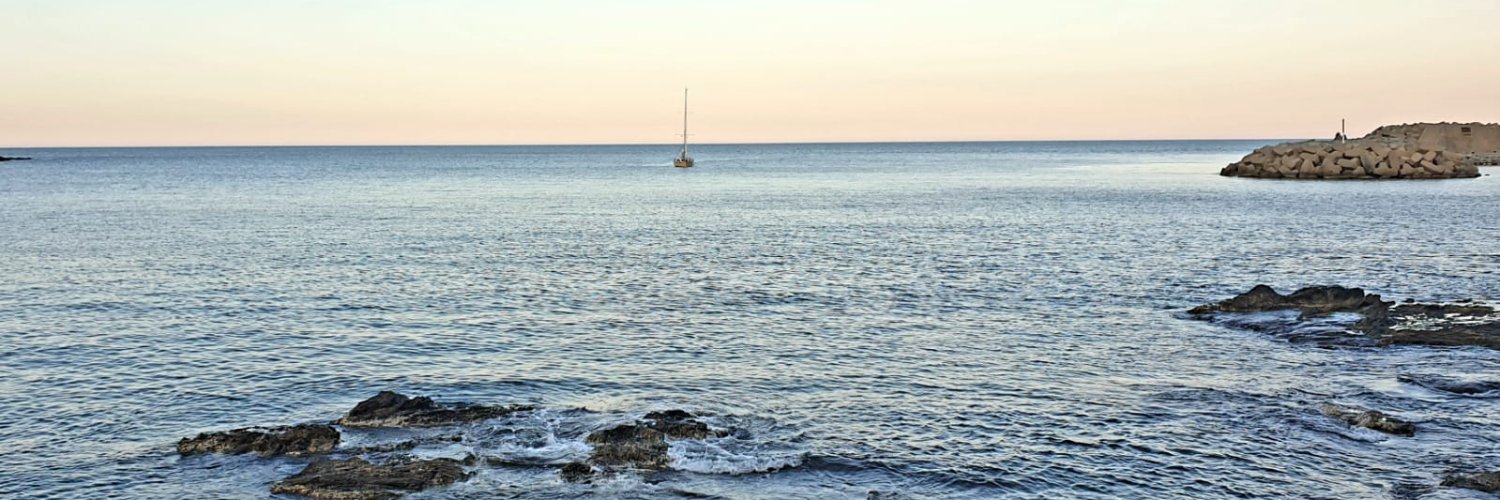 Alalbera's profile banner image