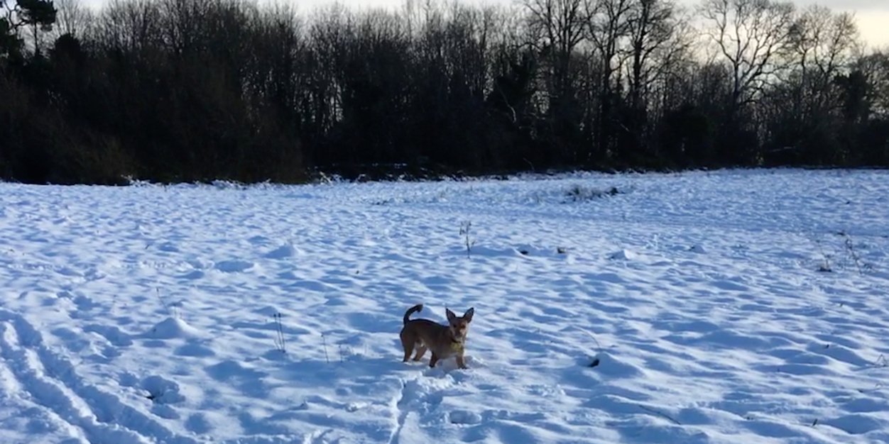 Philip Stinson banner