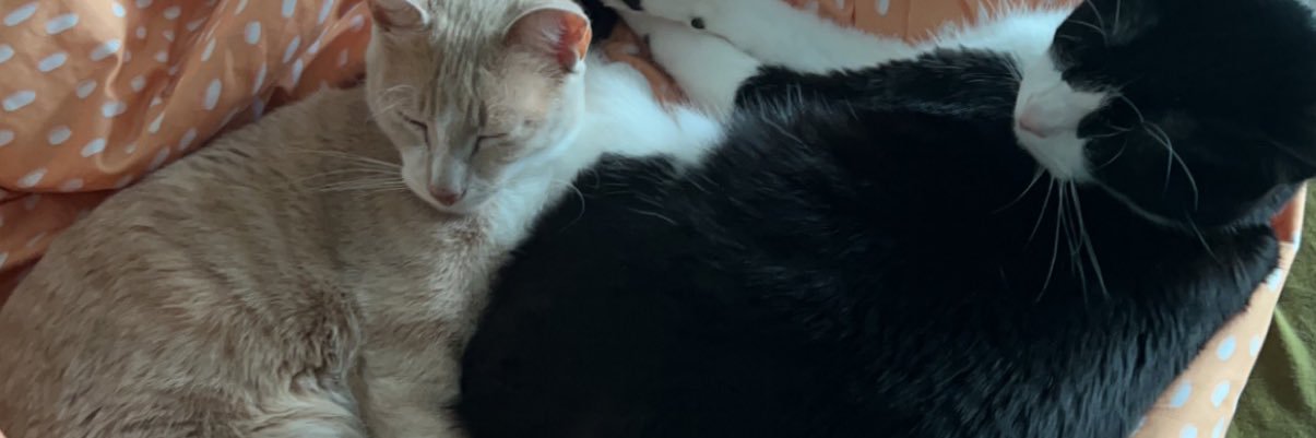 samtaylor13_'s profile banner image
