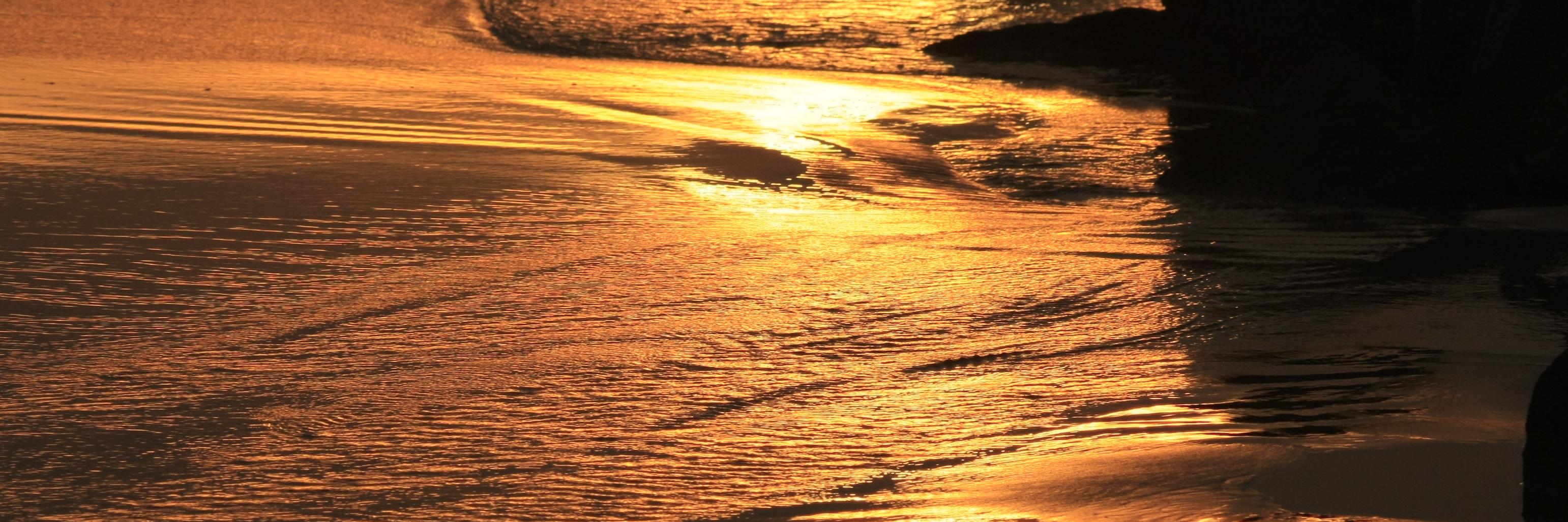LFarnhamPhotos's profile banner image