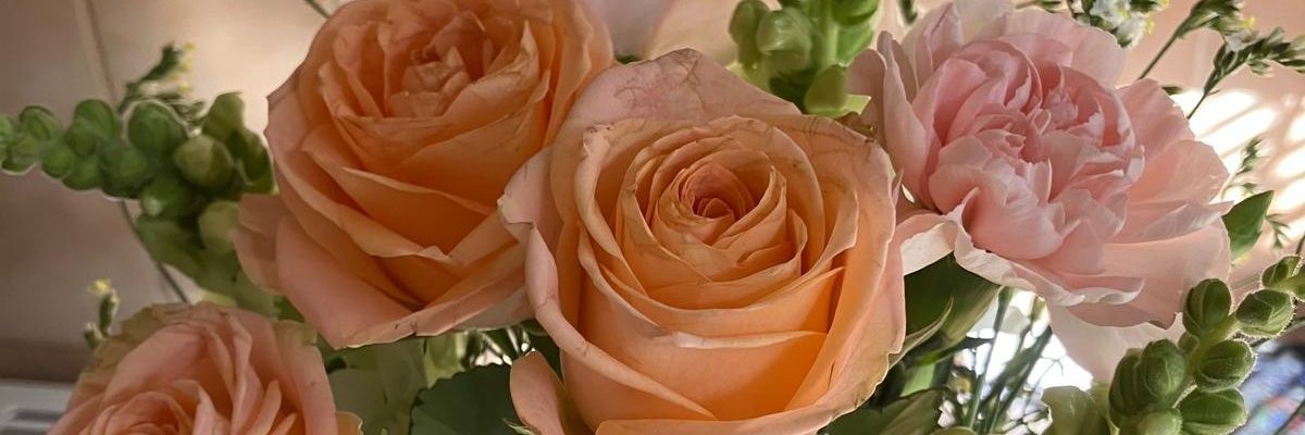 patsytrish's profile banner image