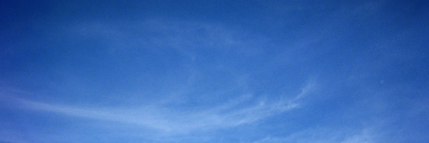 courtofwolves's profile banner image