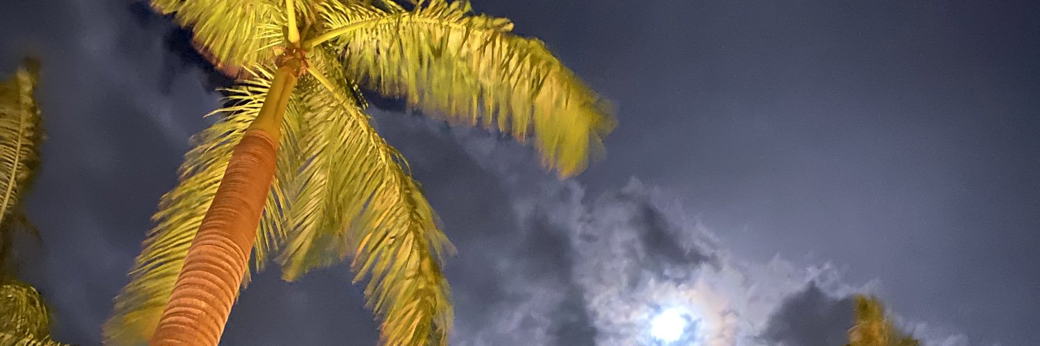 billyspeterson's profile banner image