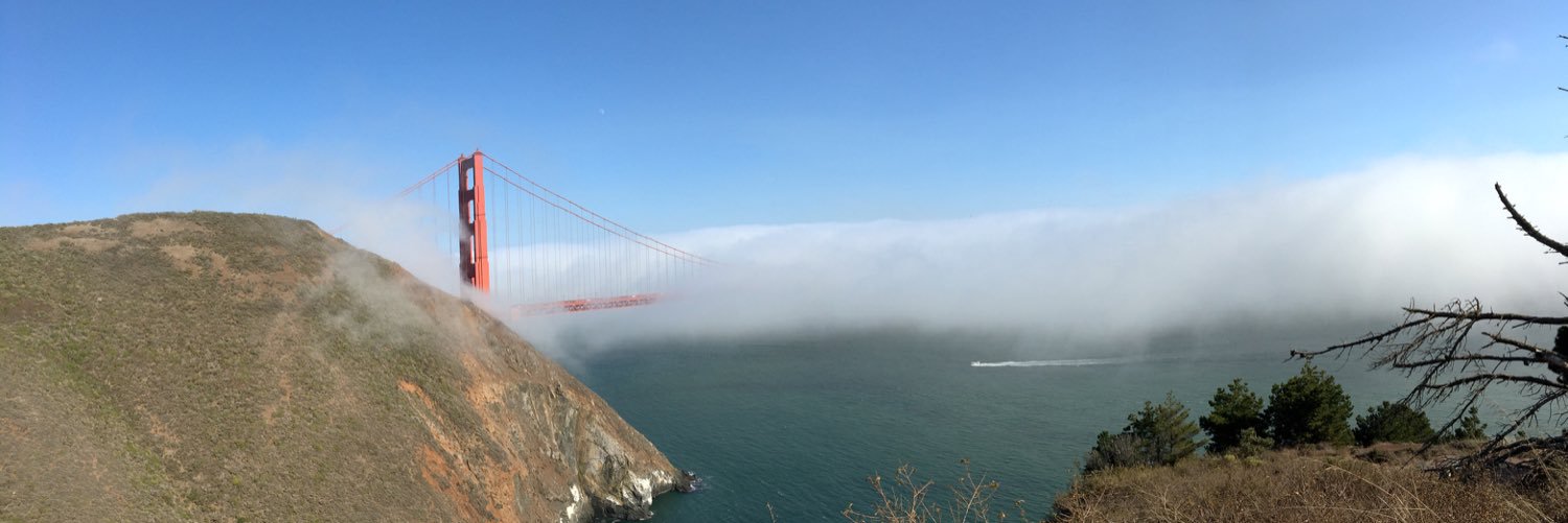 SFSU19's profile banner image
