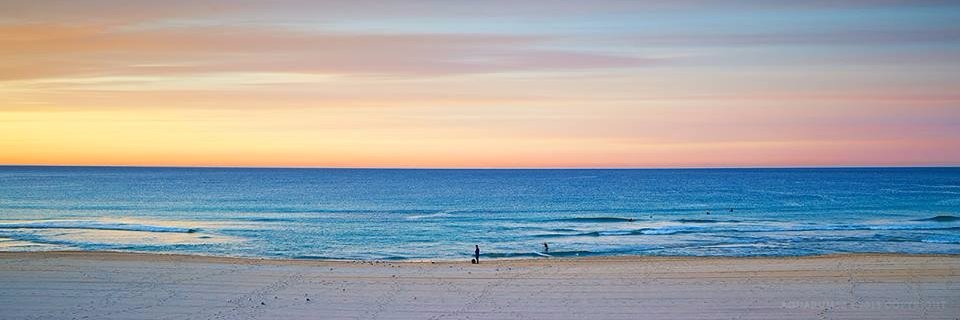 Suzanne Ferguson banner