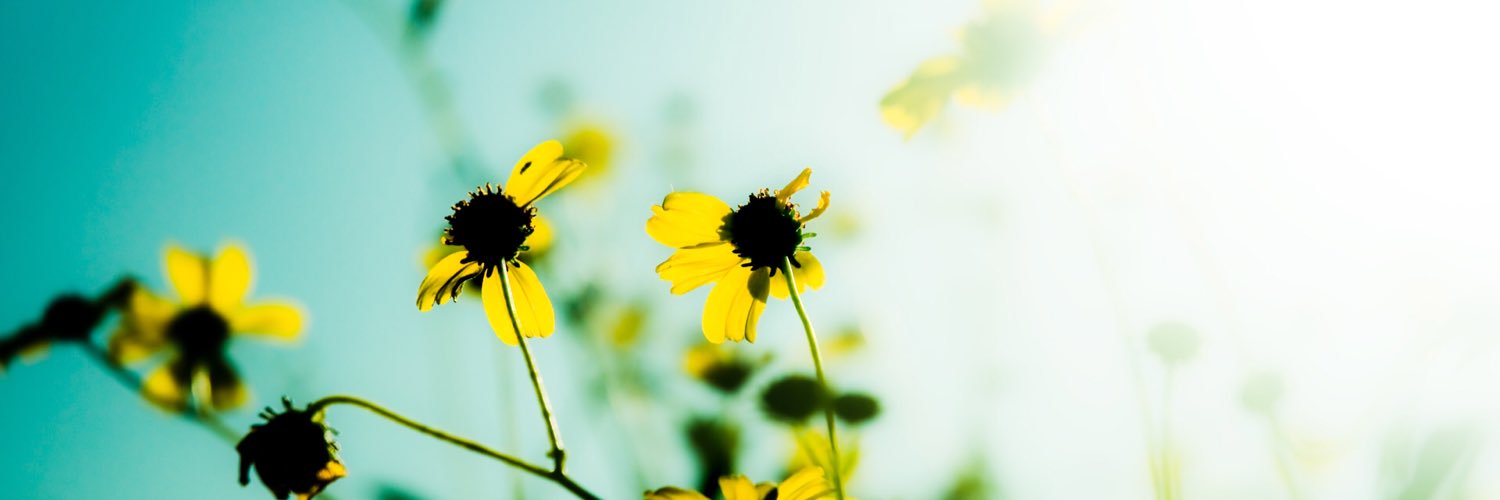 Maryna_Clark's profile banner image
