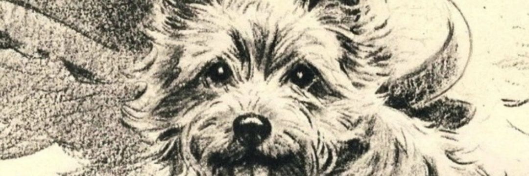golder312's profile banner image