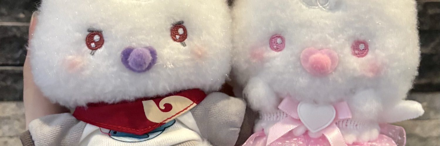 pina_chu's profile banner image