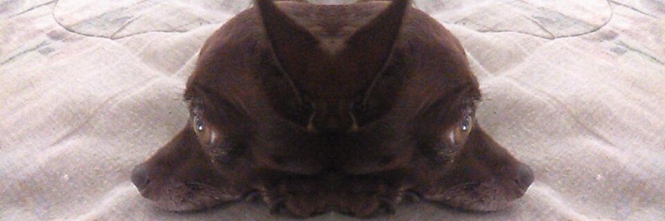 AzzmitJosue's profile banner image