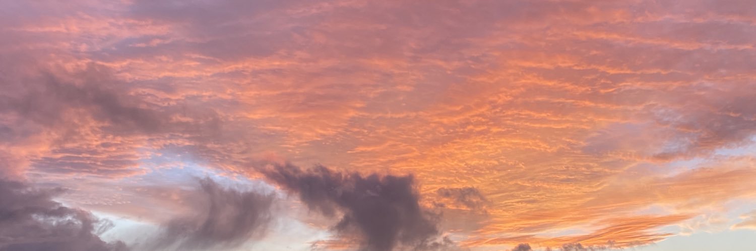 piperlawson07's profile banner image
