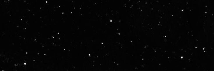 babie_angle's profile banner image