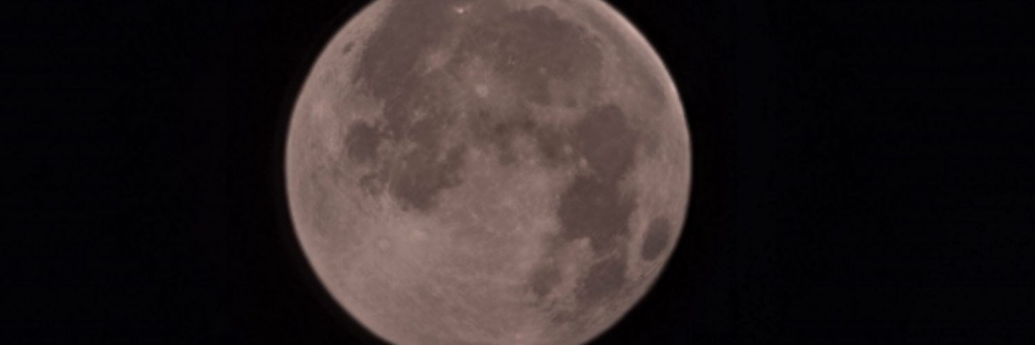tsnem95's profile banner image