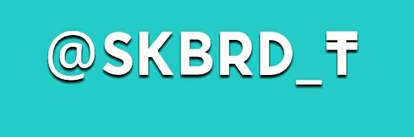 Skbrd_T's profile banner image
