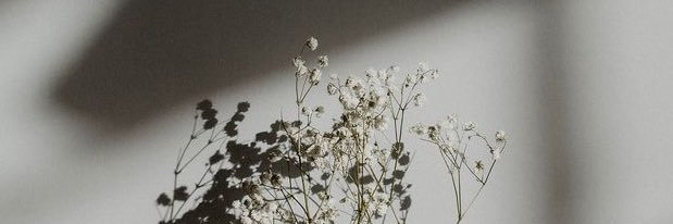 taelenteddd's profile banner image