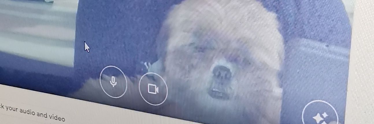 katrineleanne's profile banner image