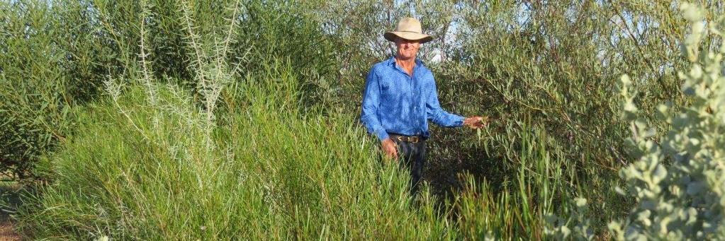 💦 Kent Broad banner