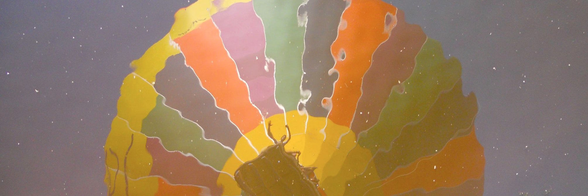 James Constable banner