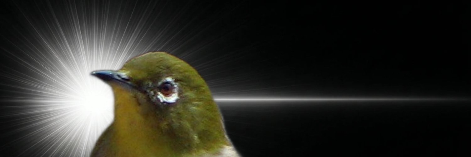 ryunlau's profile banner image