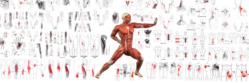 trainingtherapy's profile banner image