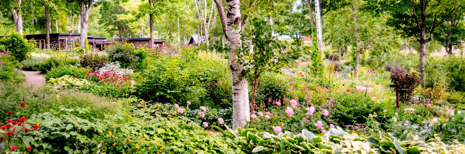daisetsu_garden's profile banner image