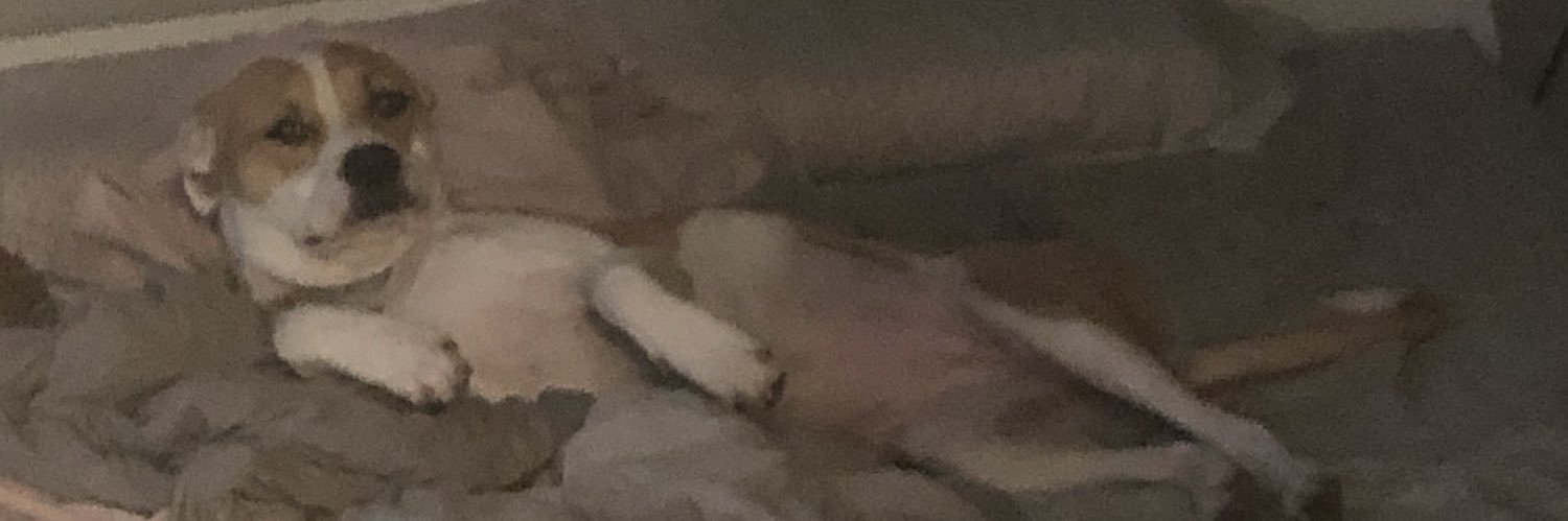 DrStevens88's profile banner image
