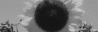 MeisterFatih's profile banner image