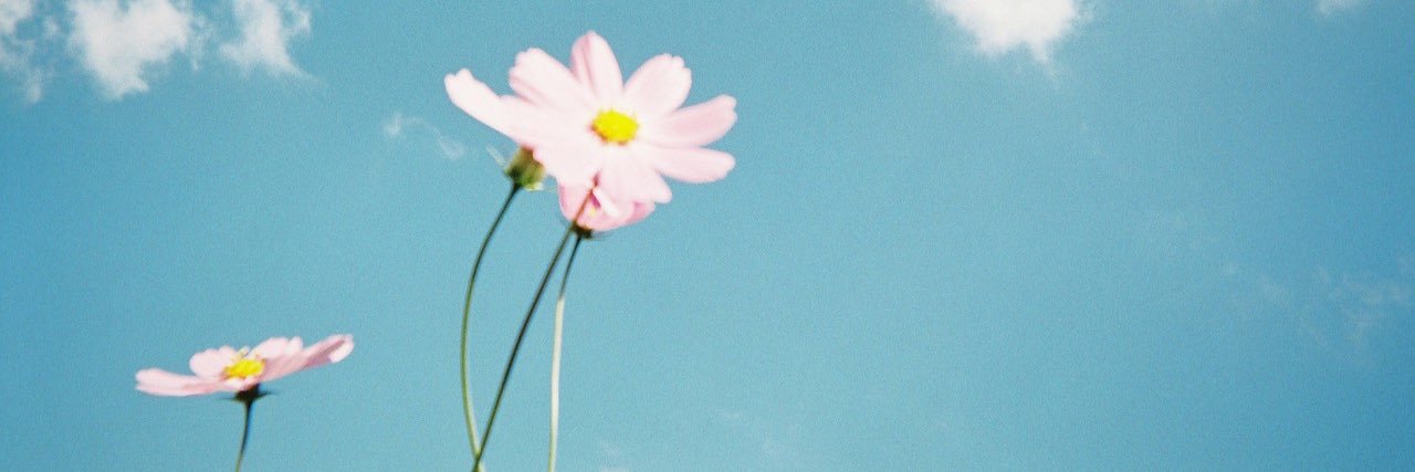 co_mg1's profile banner image