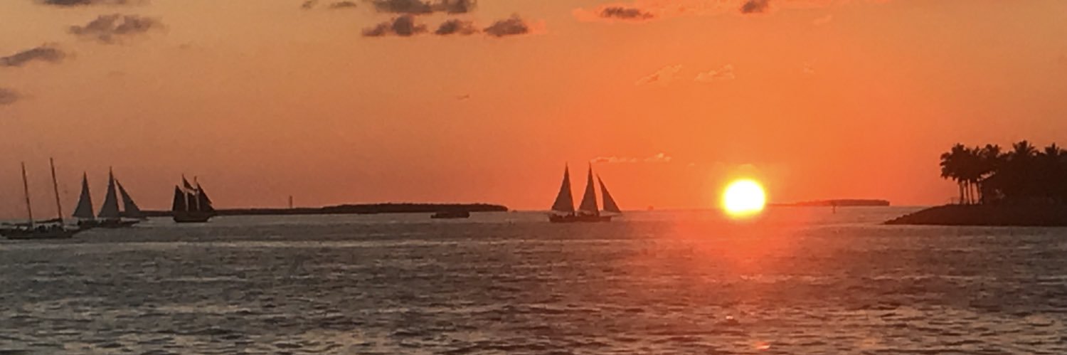 DohertyMarion's profile banner image