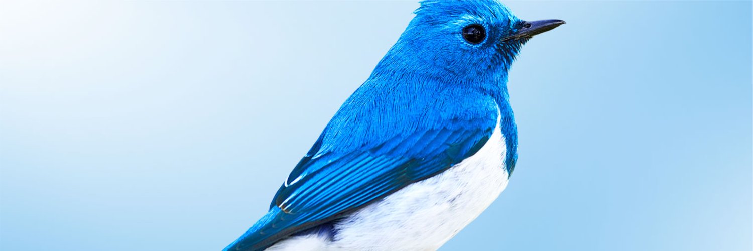 mathias_karisa's profile banner image