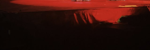 noodletitty's profile banner image