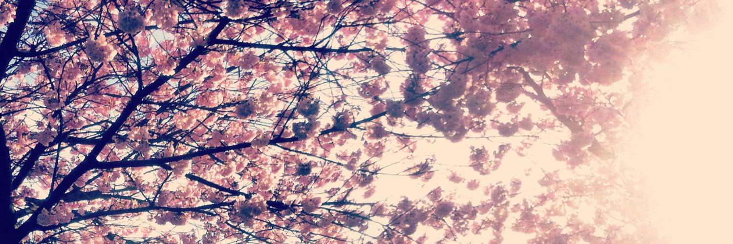 Jonathon Wayne banner