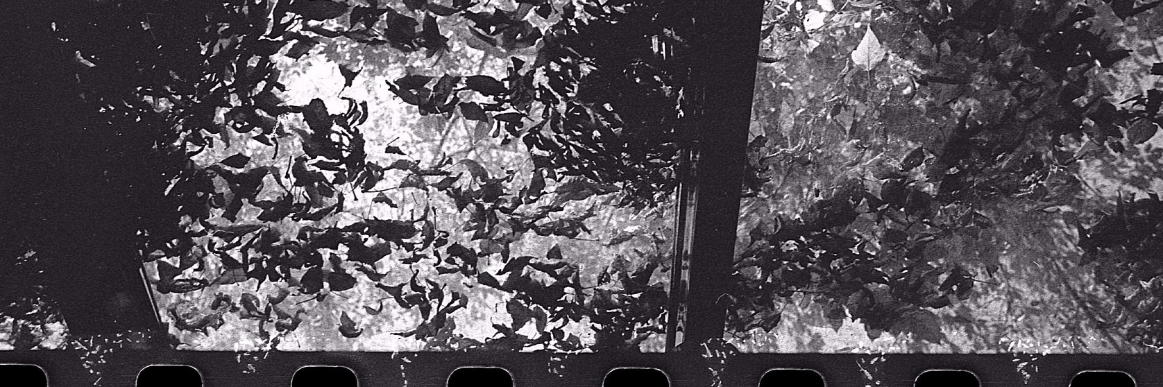 Audet_Pascal's profile banner image
