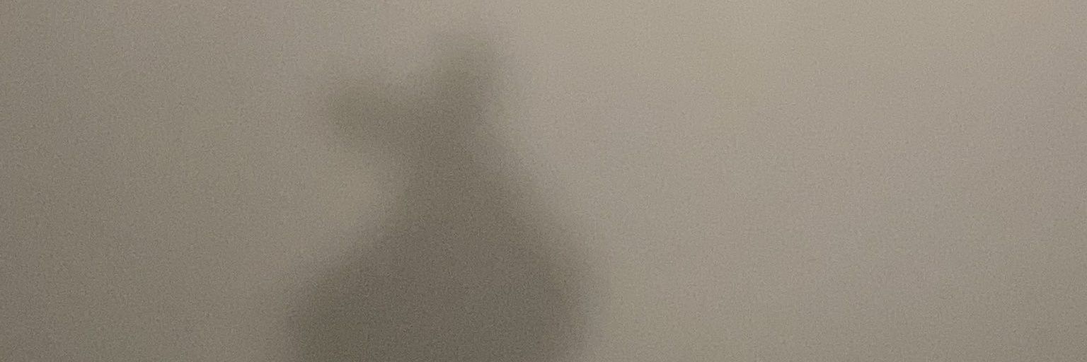 hobi's hip thrust banner