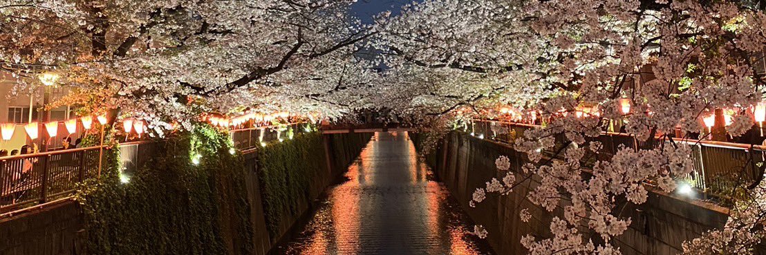 Ryuta_oki1995's profile banner image