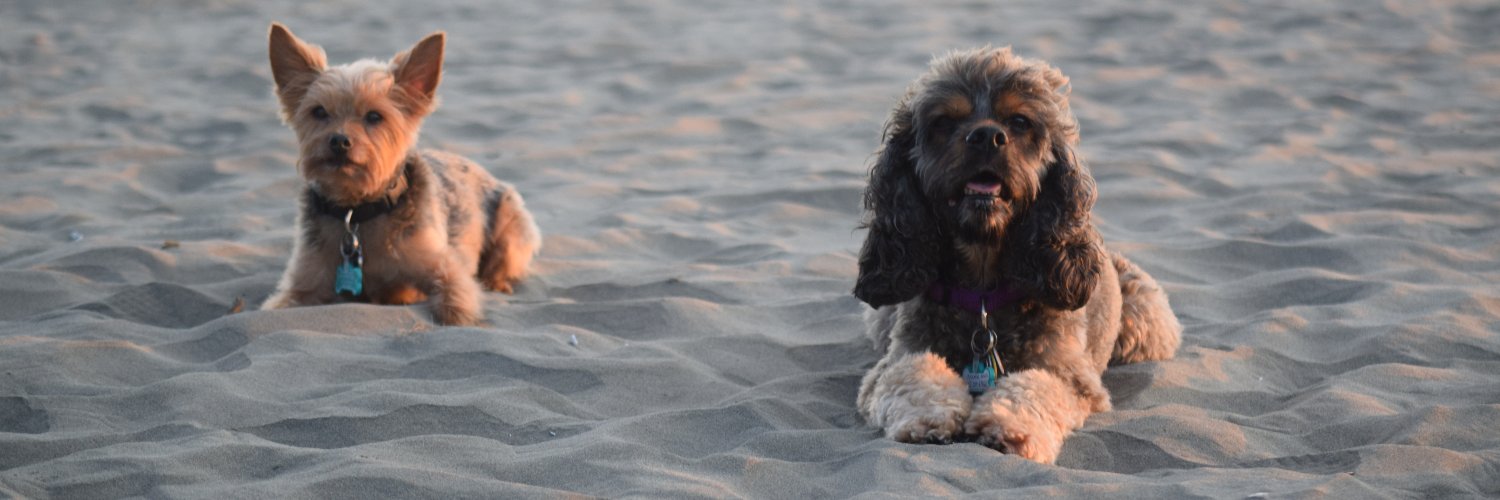 johnterickson.bsky.social banner