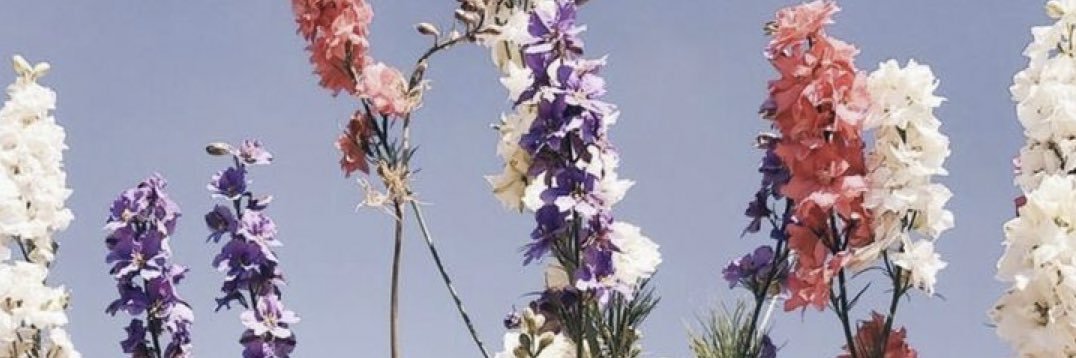 jo323_'s profile banner image