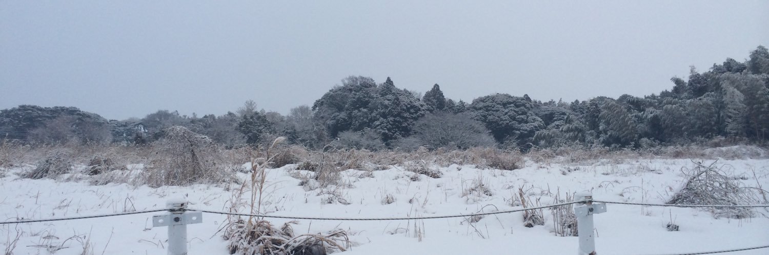 モンダミン banner