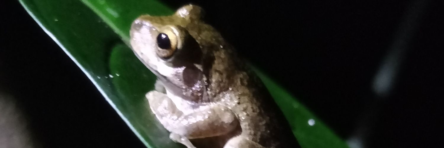 DChaparrobiol's profile banner image