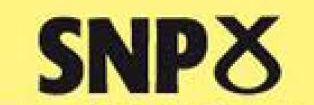 AngryAlSNP's profile banner image