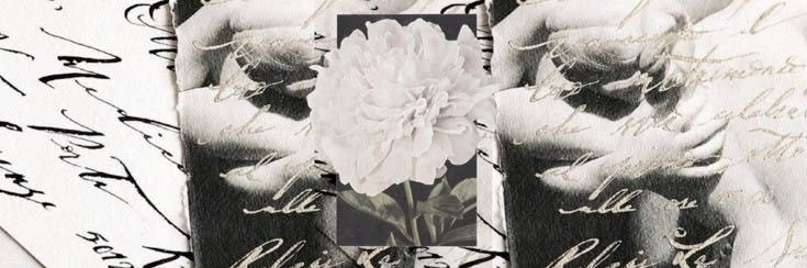 𝑔. banner