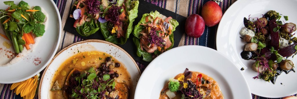 Wild Food Cafe banner