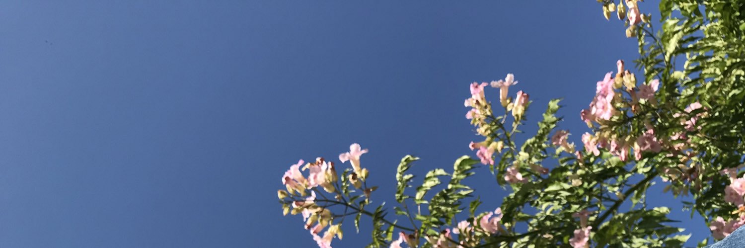 CotiRizzi's profile banner image