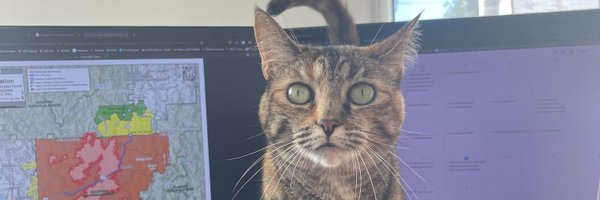 barkflight Profile Banner