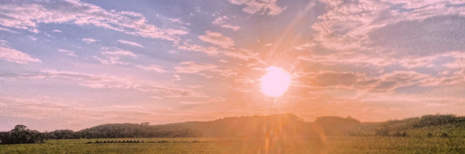 kelliesmrecek's profile banner image