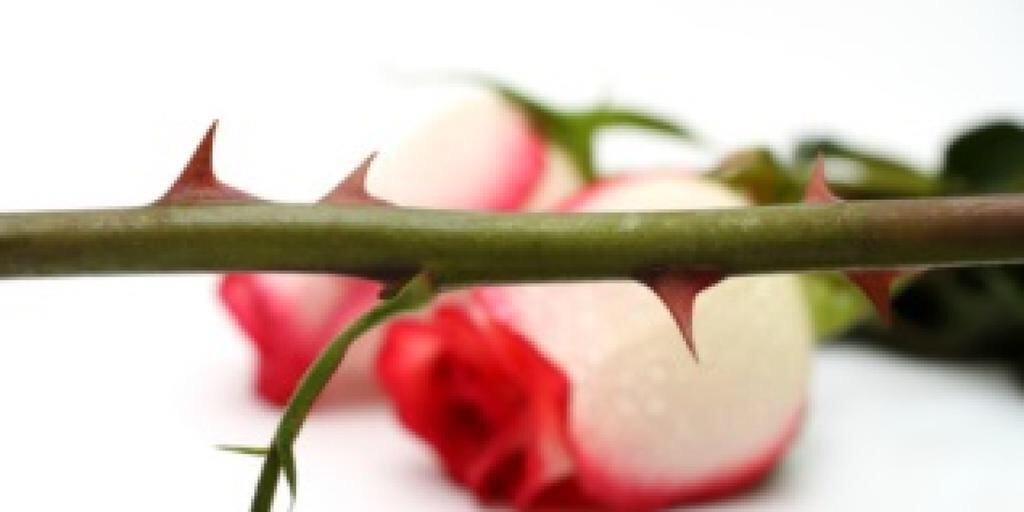 kidney360's profile banner image